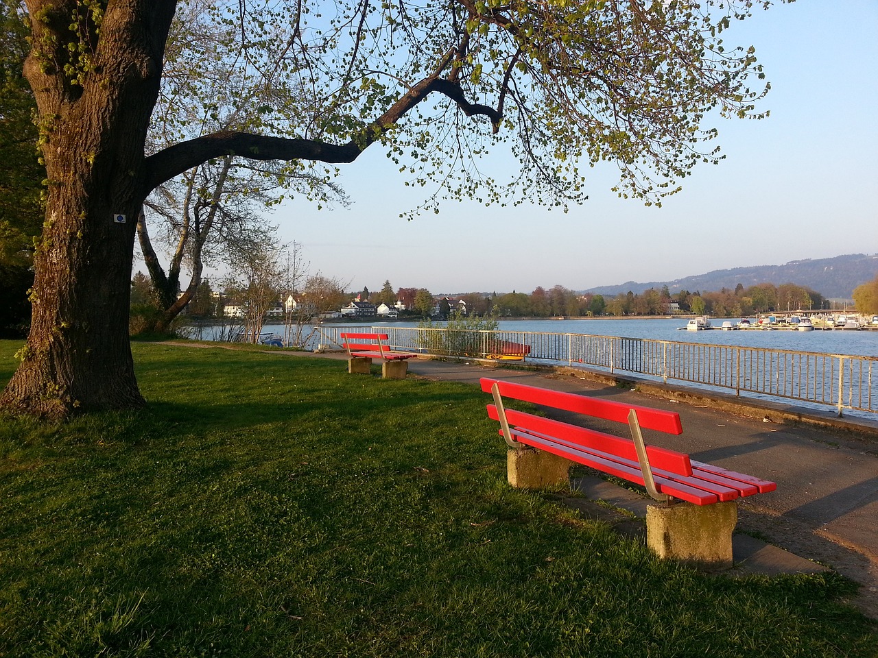 控无人能及 控无人能及